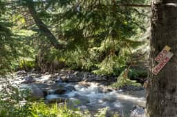 Large East Vail Home - On Gore Creek & Bus Stop - Image 3