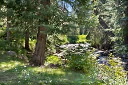 Large East Vail Home - On Gore Creek & Bus Stop - Image 4